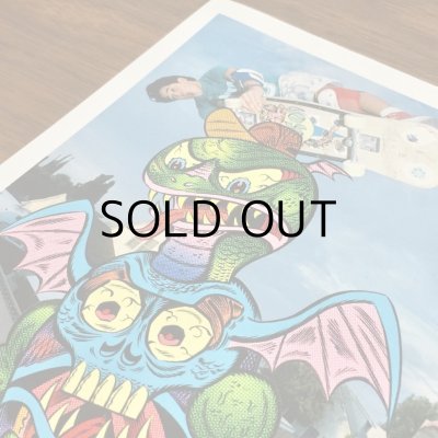 画像5: ESAYDE MINI POSTER & STICKER & POST CARD SET "SNAKE BOARDER"