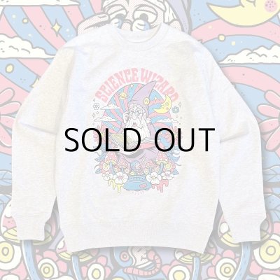 画像3: TM PAINT "SCIENCE WIZARD" SWEAT SHIRT