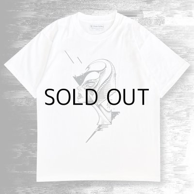 画像2: DISACOF T-SHIRT "SILVIA"