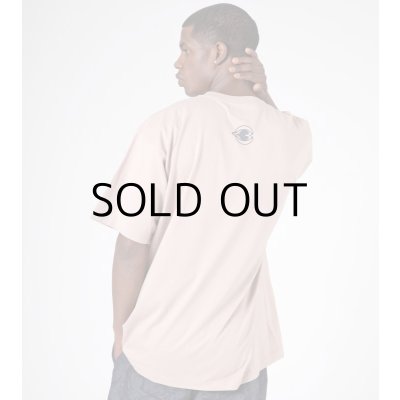 画像9: DISACOF T-SHIRT "SILVIA"