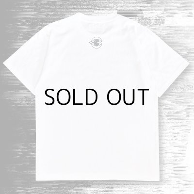 画像5: DISACOF T-SHIRT "SILVIA"