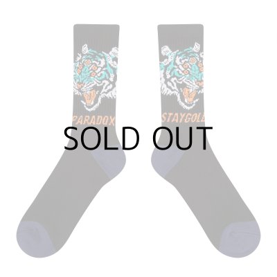 画像4: HIROTTON×STAY GOLD SOCKS