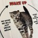 画像4: HOMEWARD BOUND "DOPAMINE BOOSTER" T-SHIRT (4)