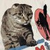 画像3: HOMEWARD BOUND "DOPAMINE BOOSTER" T-SHIRT (3)