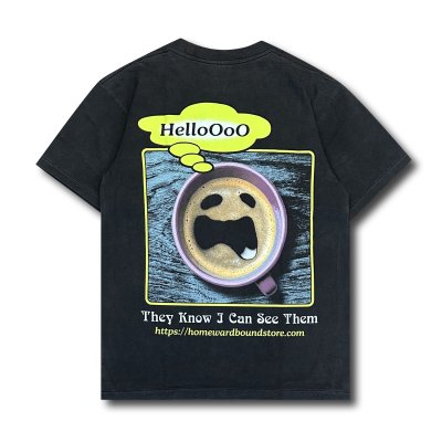 画像2: HOMEWARD BOUND "NORMALIZE SEEING THINGS" T-SHIRT