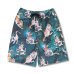画像1: 大柴裕豪 "百猫" PATTERN MESH SHORTS (1)