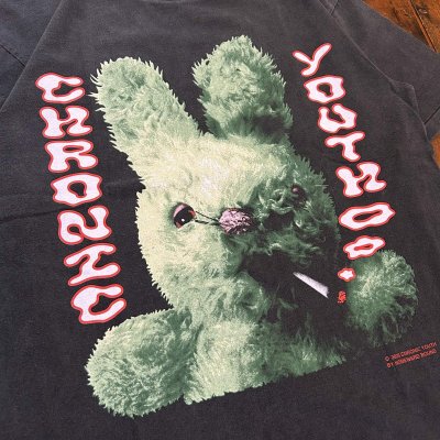 画像3: HOMEWARD BOUND "CHRONIC YOUTH " T-SHIRT