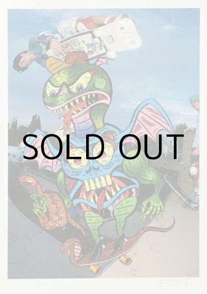 画像9: ESAYDE MINI POSTER & STICKER & POST CARD SET "SNAKE BOARDER" (9)