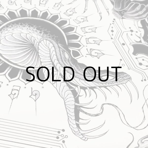 画像3: SANROKU POSTER "Monsters flash" (3)