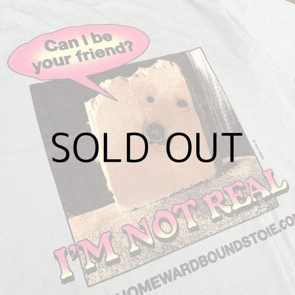 画像3: HOMEWARD BOUND "MIRCRODOSE" T-SHIRT (3)