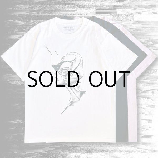 画像1: DISACOF T-SHIRT "SILVIA" (1)
