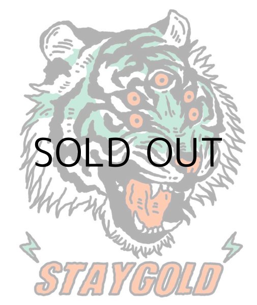 画像15: HIROTTON×STAY GOLD SOCKS (15)