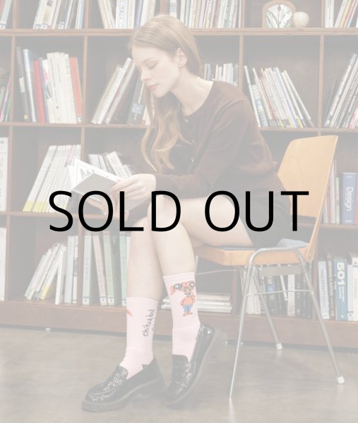 画像6: TOMASON "CHIHUAHUA GANG" socks (6)