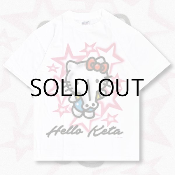画像1: HOMEWARD BOUND "HELLO KETA" T-SHIRT (1)