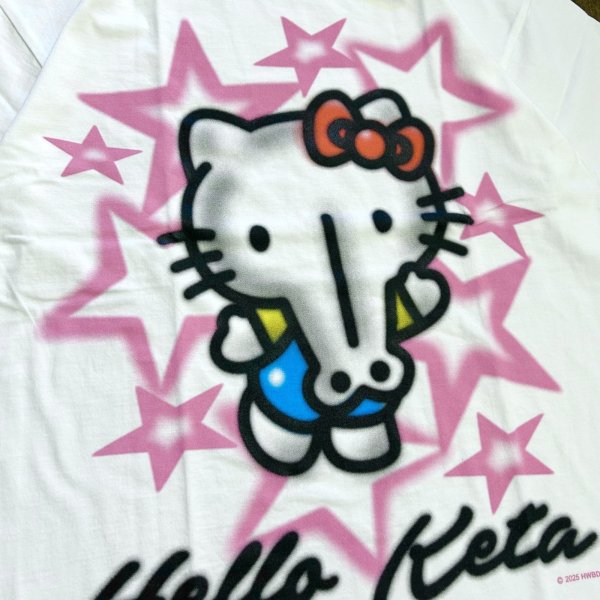 画像3: HOMEWARD BOUND "HELLO KETA" T-SHIRT (3)