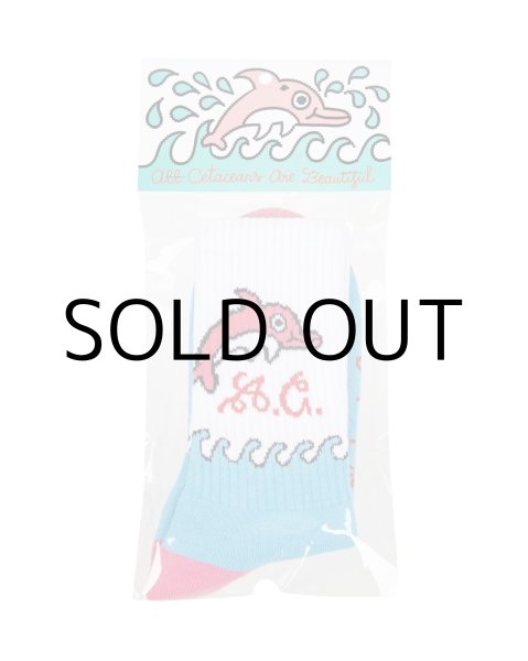 画像3: STAYGOLD×POLFISH "Dolphine" socks (3)