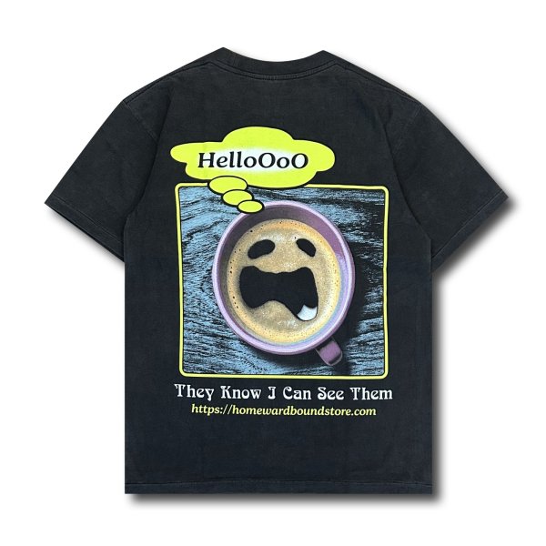 画像2: HOMEWARD BOUND "NORMALIZE SEEING THINGS" T-SHIRT (2)