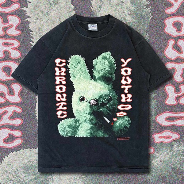 画像1: HOMEWARD BOUND "CHRONIC YOUTH " T-SHIRT (1)